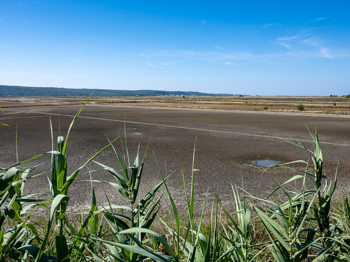 Krajinski park Sečoveljske soline