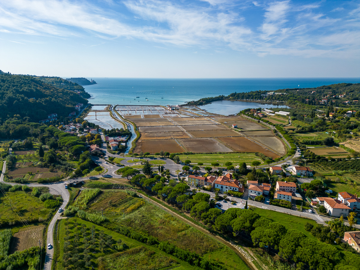  Naravni rezervat Strunjan - Stjuža