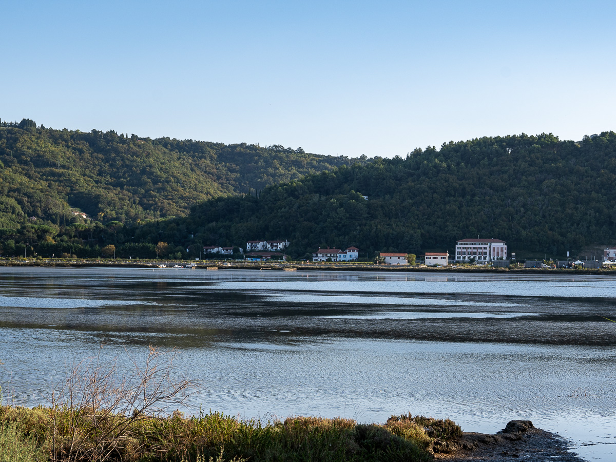  Naravni rezervat Strunjan - Stjuža